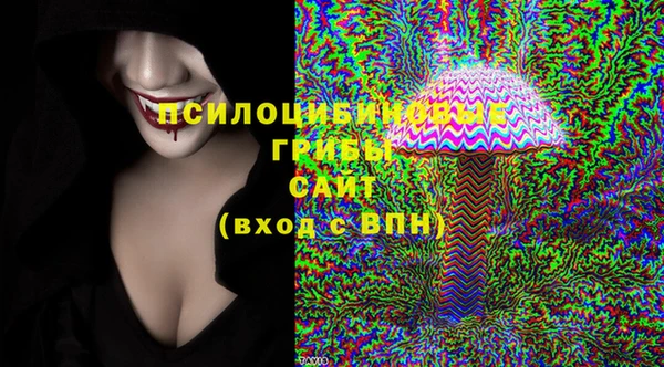дмт Алзамай