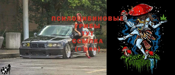 PSILOCYBIN Алексеевка