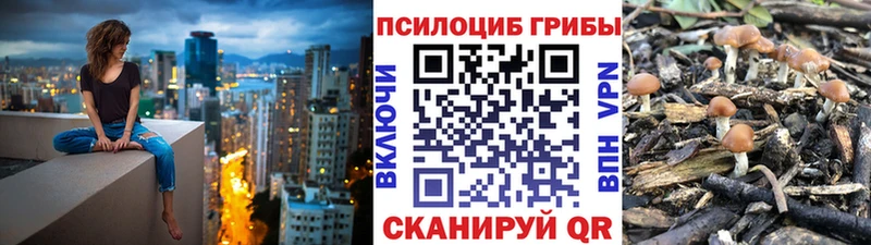 Галлюциногенные грибы ЛСД  сайты даркнета клад  Мещовск  наркота 
