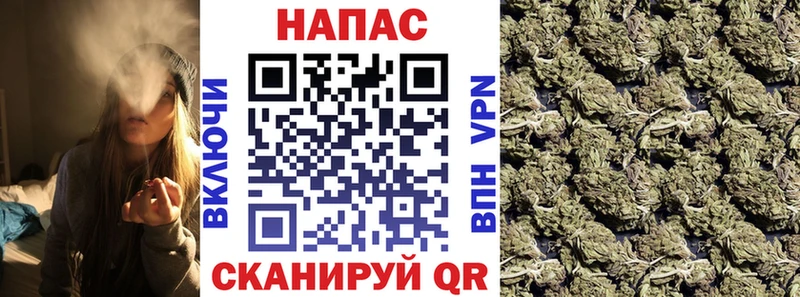 shop какой сайт  Мещовск  Конопля OG Kush 